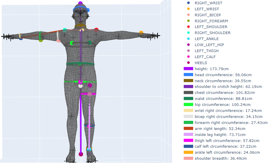 3D body model and precise measurements