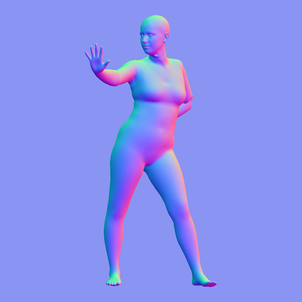 3D Mesh