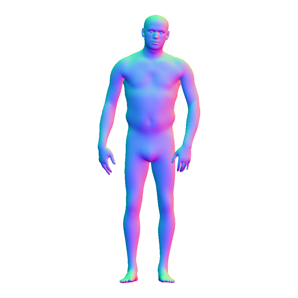 3D body model